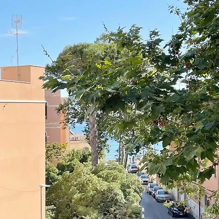 Vittoria